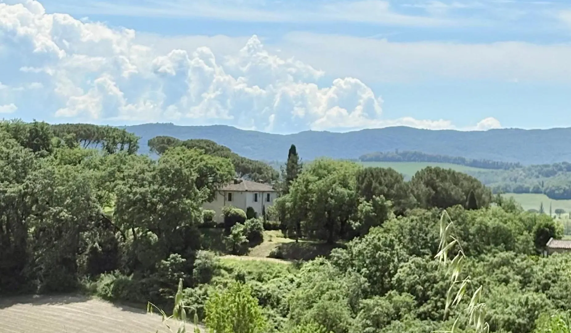 Villa Bergamotti With Pool, Comfort And View Buonconvento 0*,